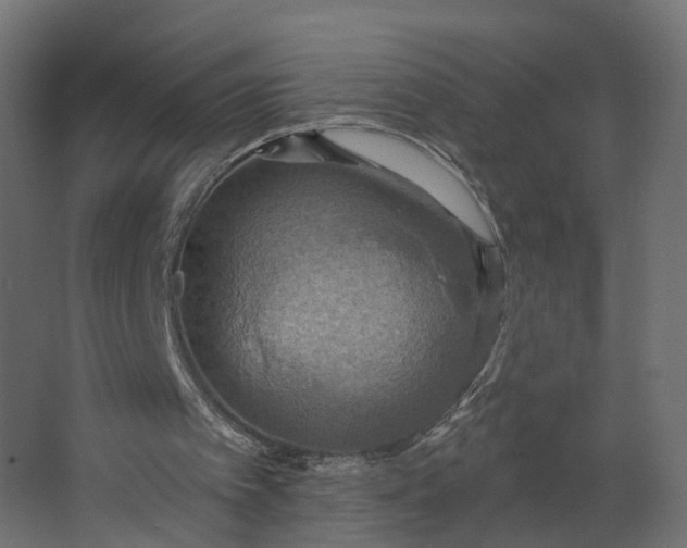 X0000067470097200604211617