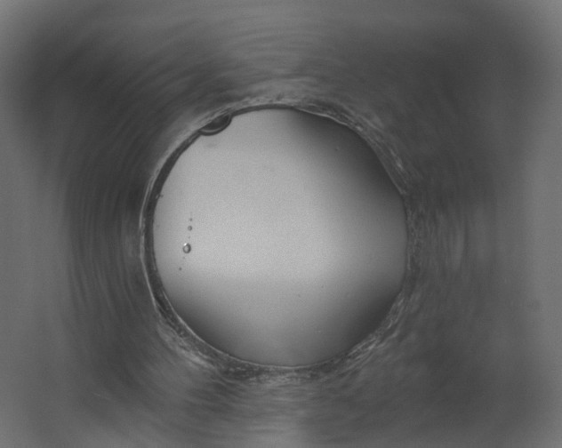 X0000067470100200604211617