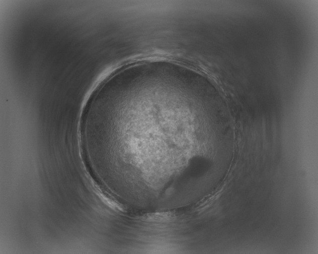 X0000067470102200604211617