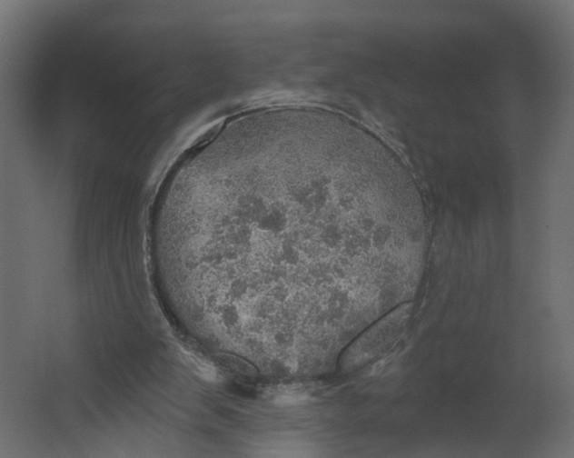 X0000067470103200604211617