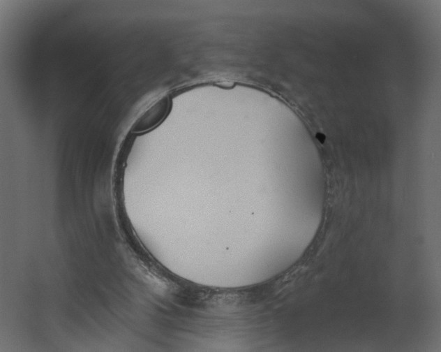 X0000067470104200604211617