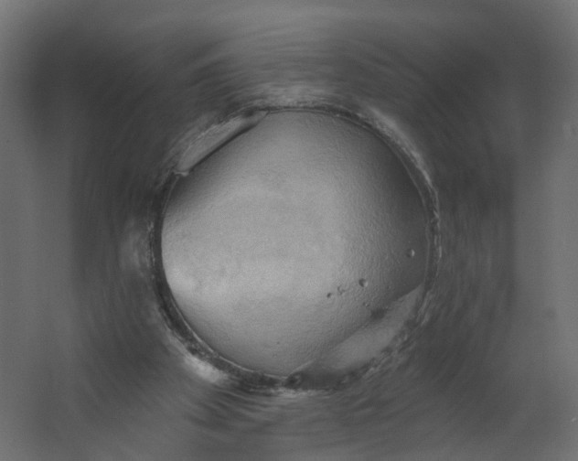 X0000067470105200604211617