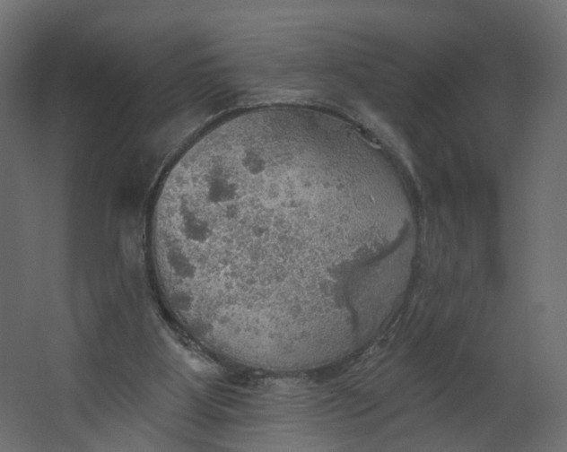 X0000067470107200604211617