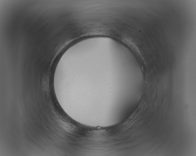 X0000067470108200604211617