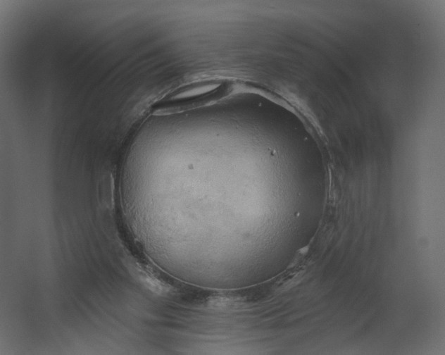 X0000067470109200604211617