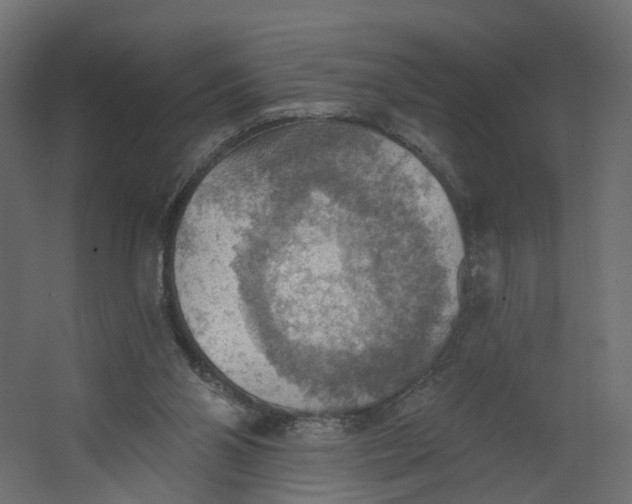 X0000067470110200604211617