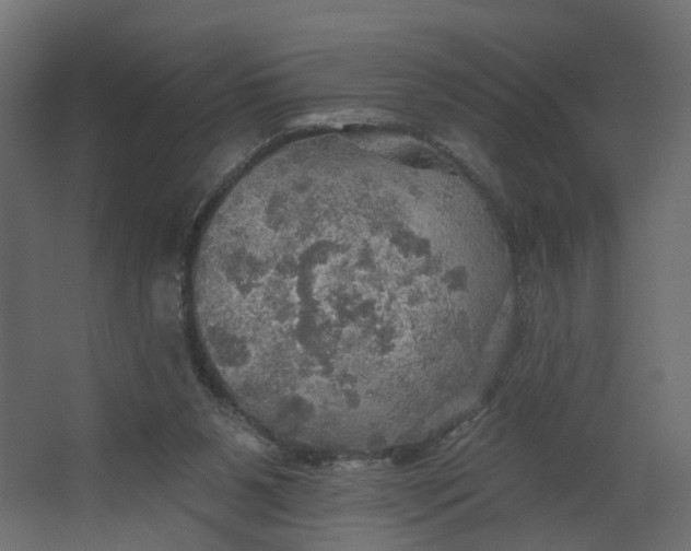 X0000067470111200604211617