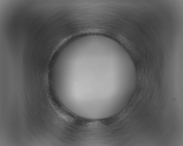 X0000067470112200604211617