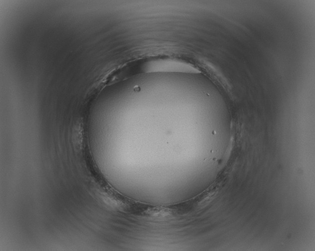 X0000067470113200604211617