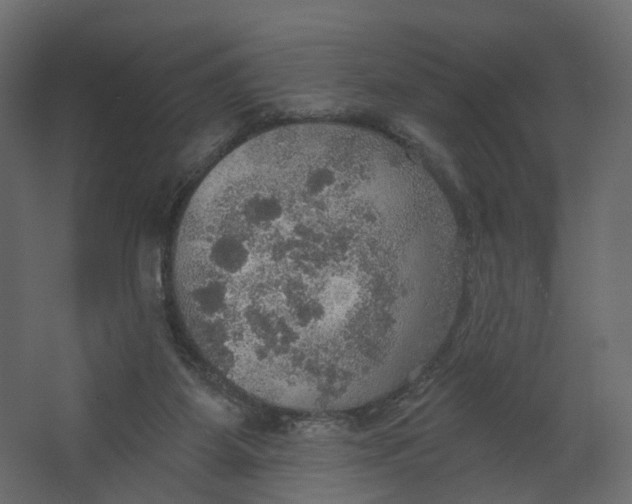 X0000067470115200604211617