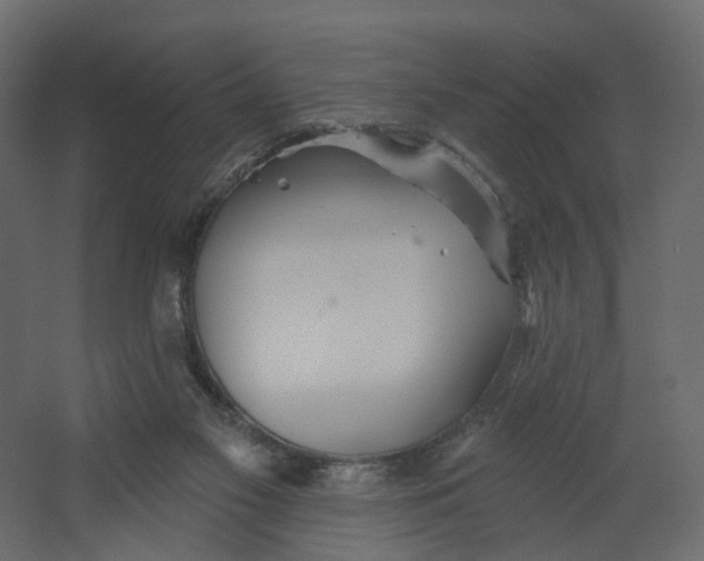 X0000067470117200604211617