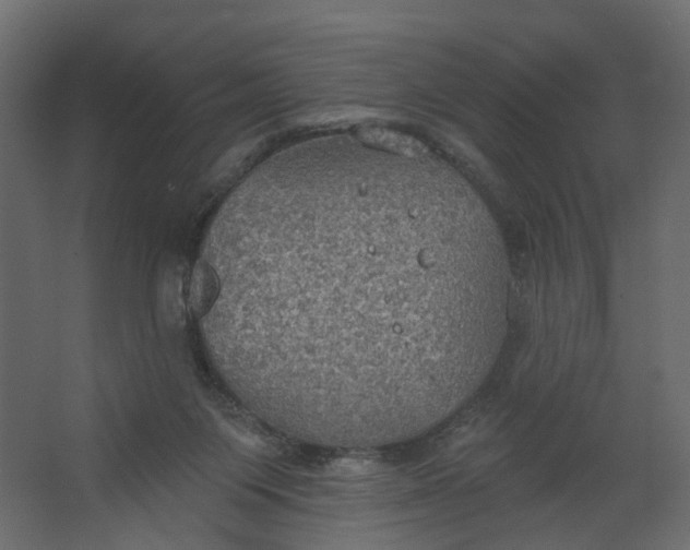 X0000067470119200604211617