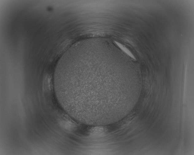 X0000067470123200604211617