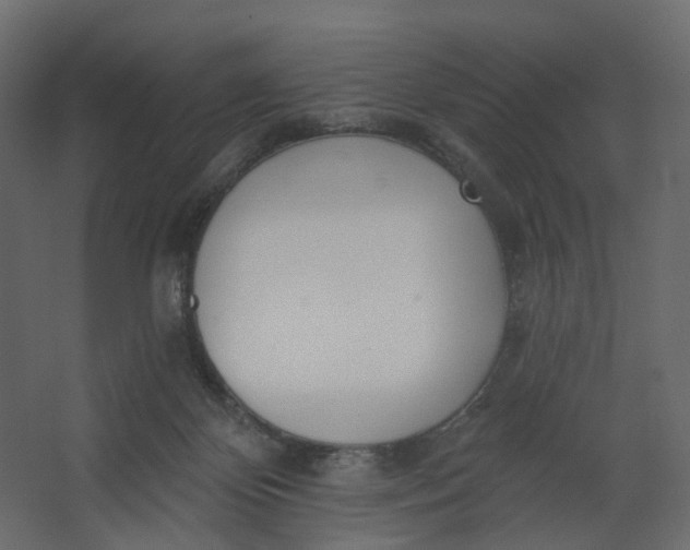 X0000067470124200604211617