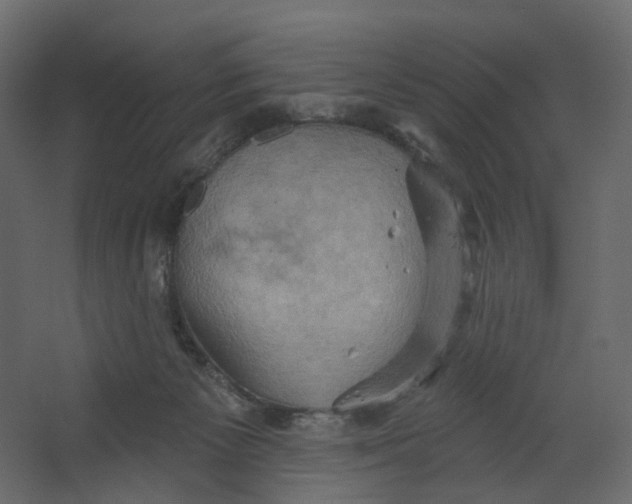 X0000067470125200604211617