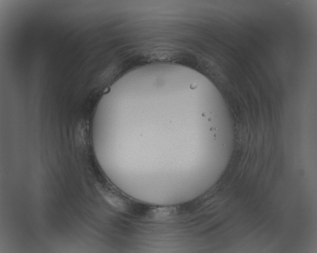 X0000067470126200604211617