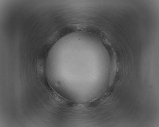 X0000067470129200604211617