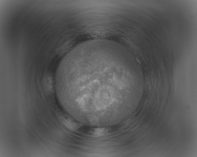 X0000067470130200604211617