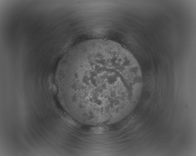 X0000067470131200604211617