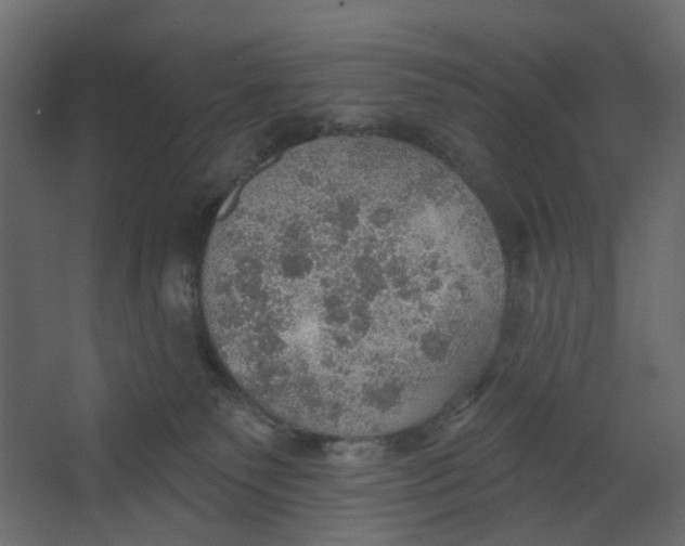 X0000067470135200604211617