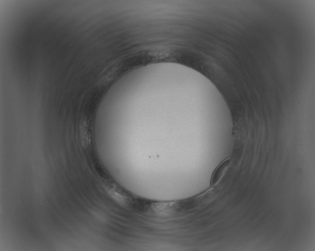 X0000067470136200604211617