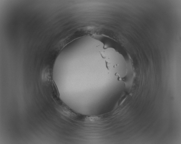 X0000067470137200604211617