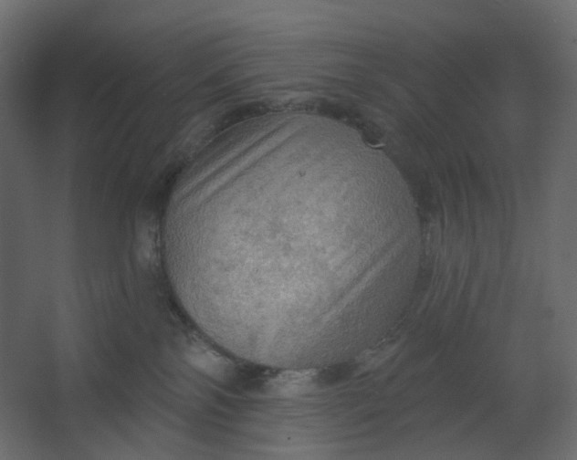 X0000067470138200604211617