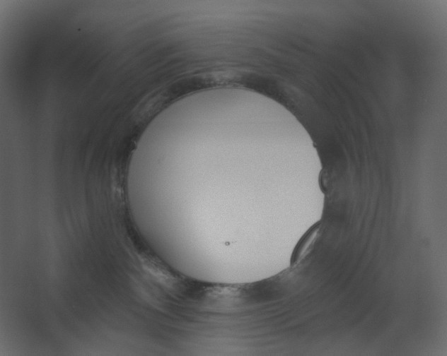 X0000067470140200604211617