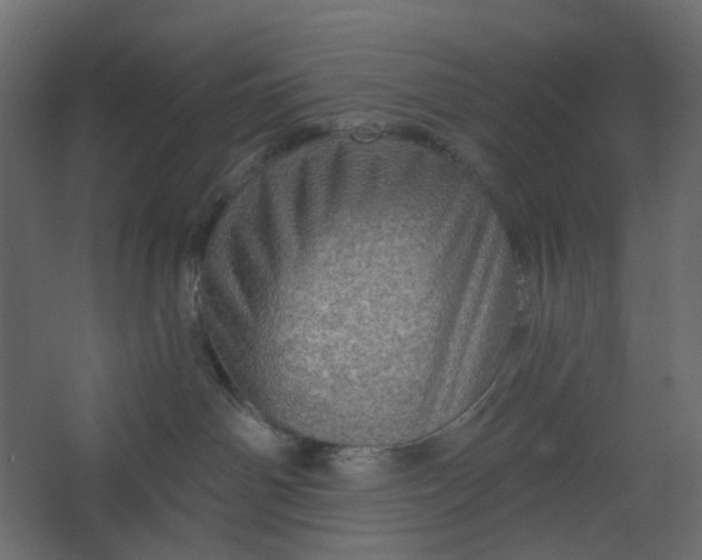 X0000067470142200604211617