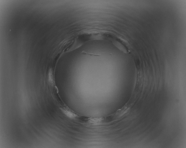 X0000067470143200604211617