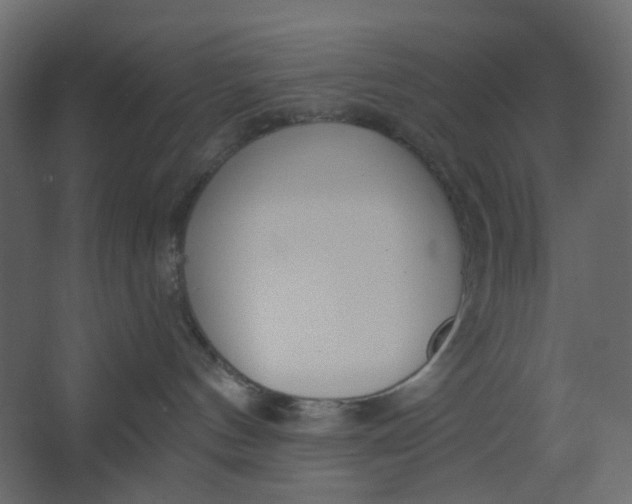 X0000067470144200604211617