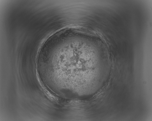 X0000067470145200604211616