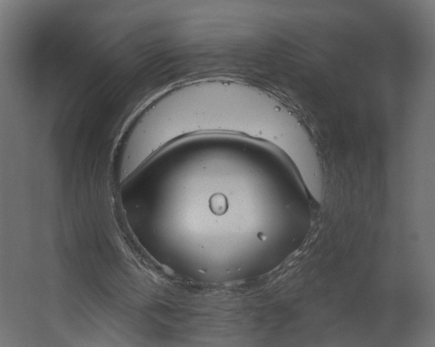 X0000067470146200604211616