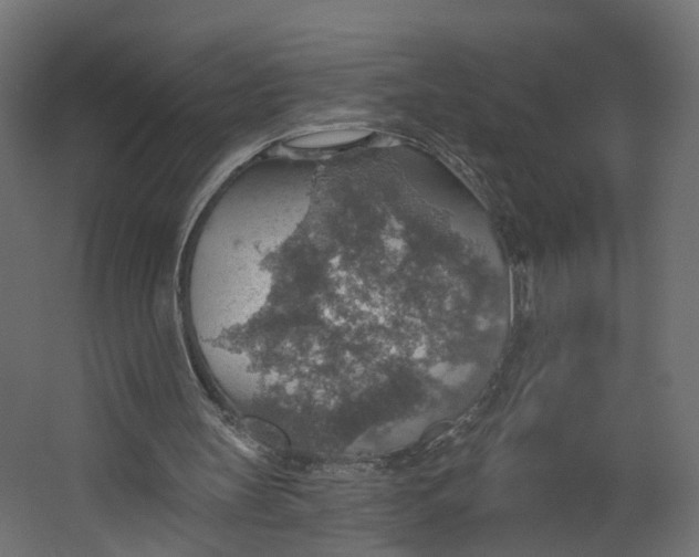 X0000067470147200604211616