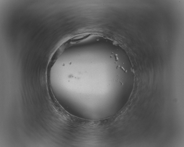 X0000067470148200604211616