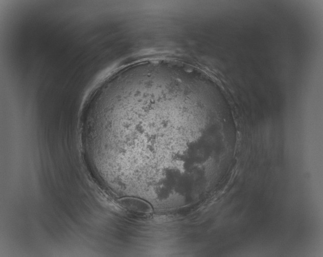 X0000067470149200604211616