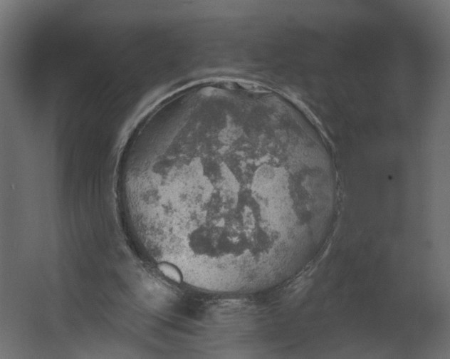 X0000067470151200604211616