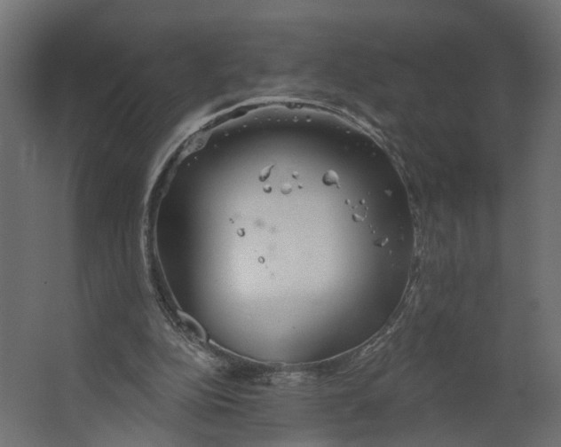 X0000067470152200604211616