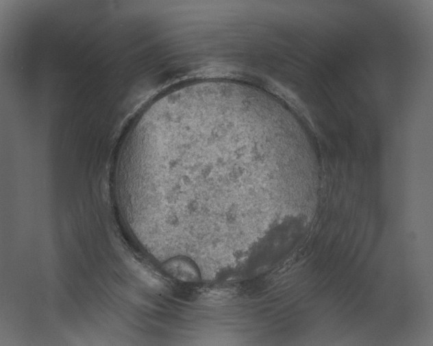 X0000067470155200604211616