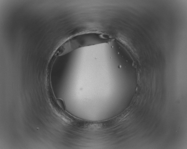 X0000067470156200604211616