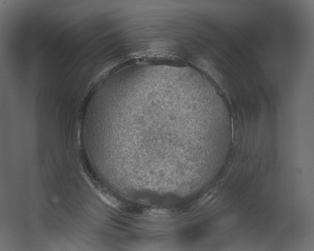 X0000067470157200604211616