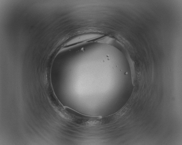 X0000067470158200604211616