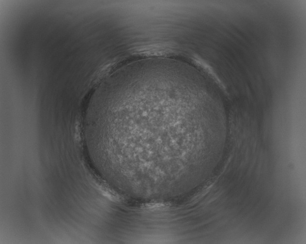 X0000067470161200604211616