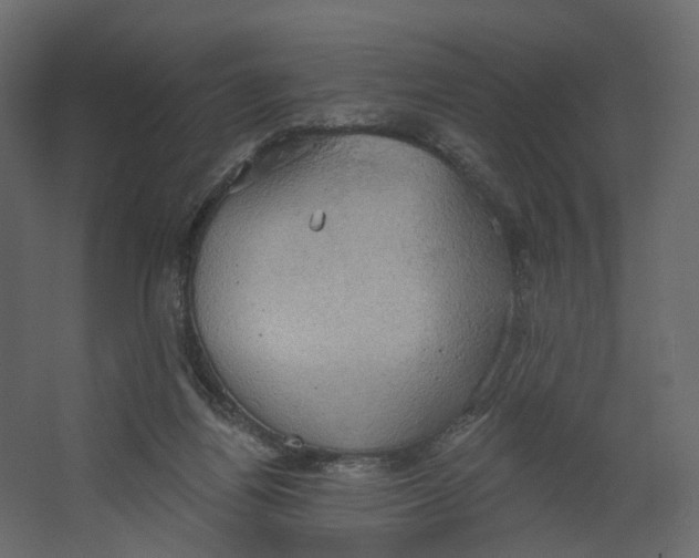 X0000067470164200604211616