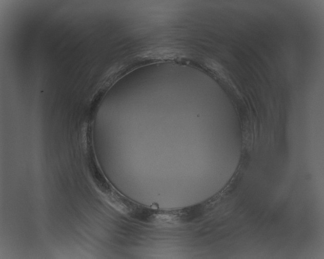 X0000067470167200604211616