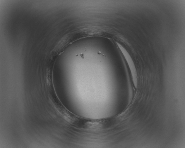 X0000067470170200604211616