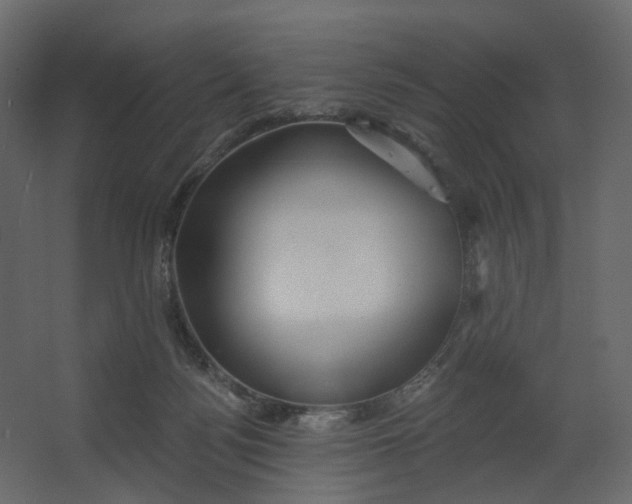 X0000067470172200604211616