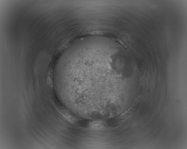 X0000067470175200604211616