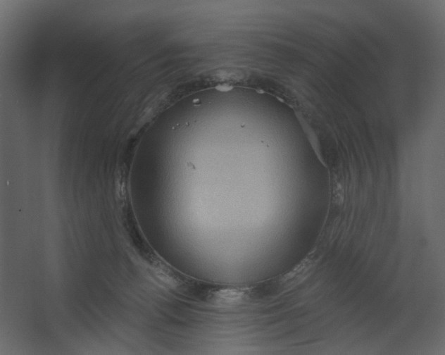 X0000067470176200604211616