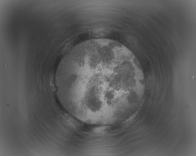 X0000067470178200604211616